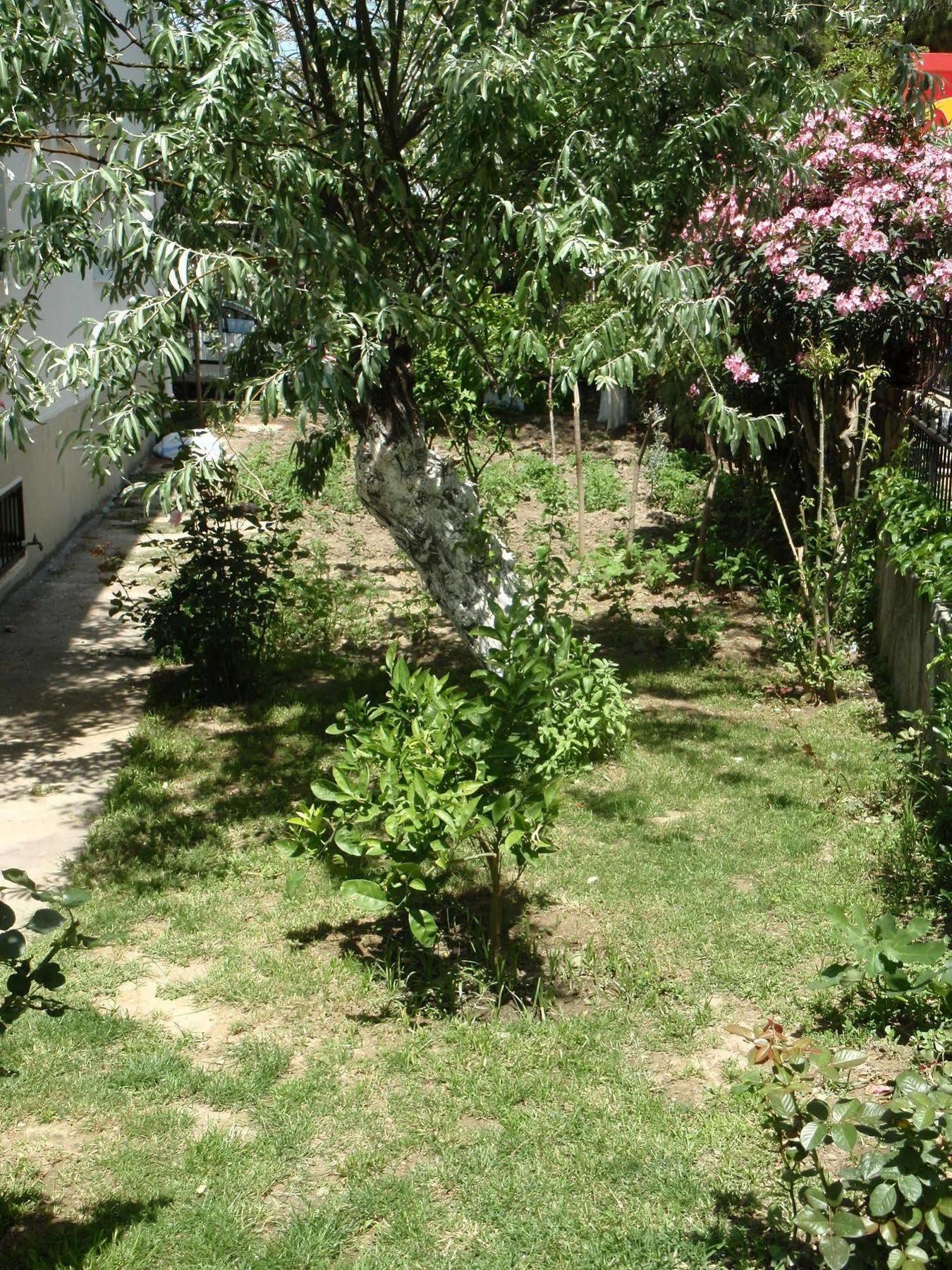 Liman Hotel Kuşadası Ngoại thất bức ảnh